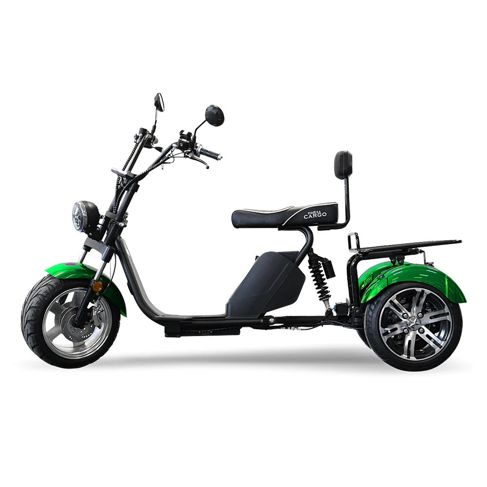Cargo 3.1 E-Roller