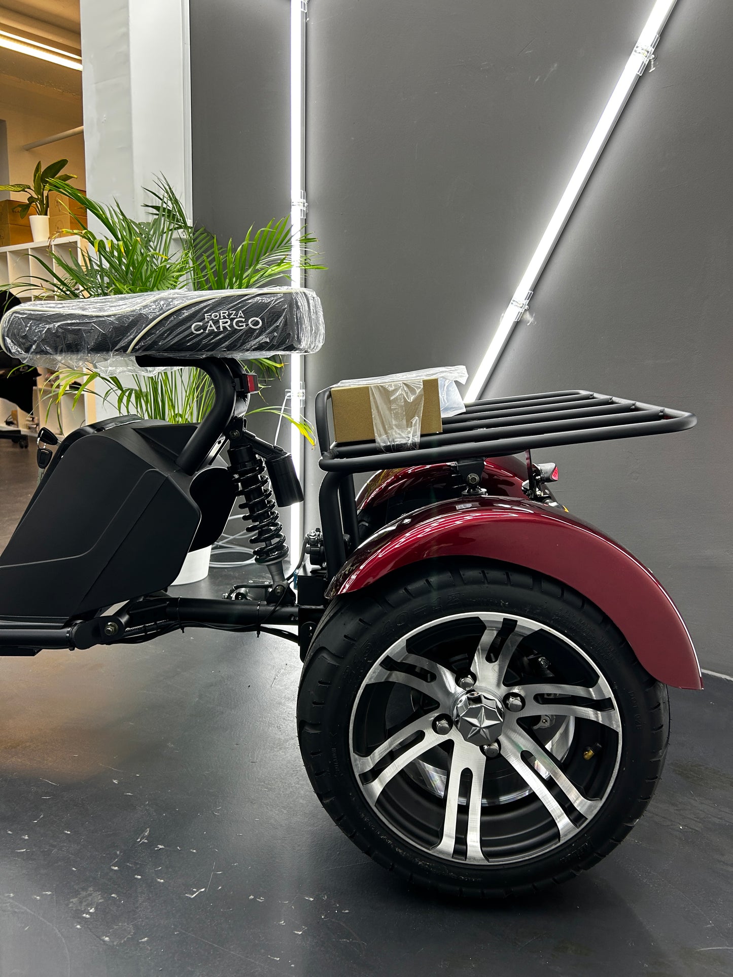 Cargo 3.1 E-Roller